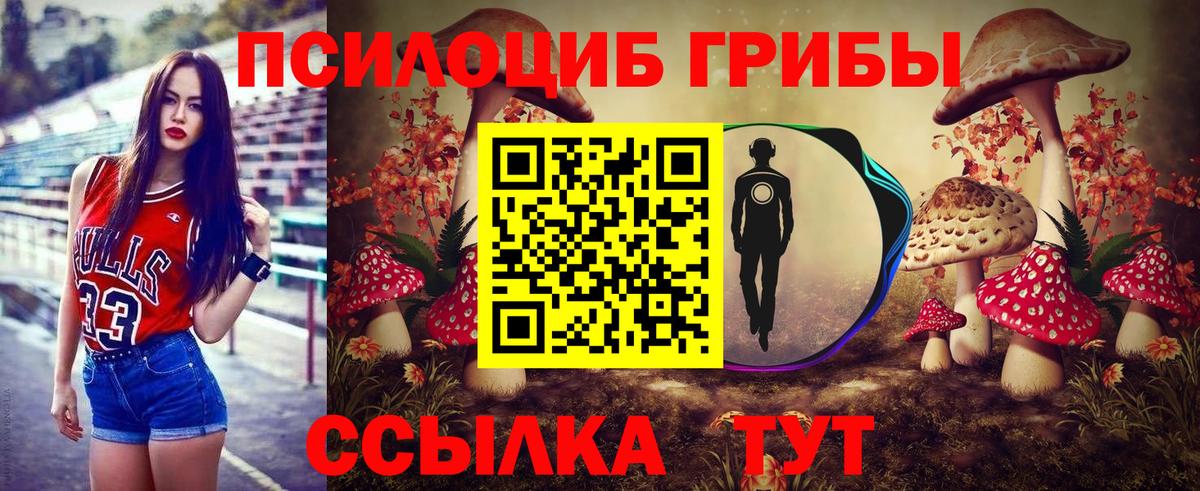 Псилоцибиновые грибы мухоморы Гусиноозёрск