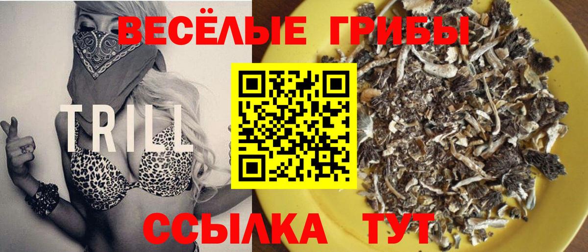 Гусиноозёрск  Галлюциногенные грибы ЛСД  Псилоцибиновые грибы MAGIC MUSHROOMS  Вход с VPN 