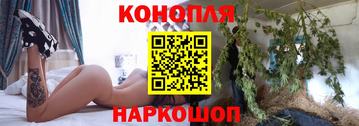 Гусиноозёрск  Канабис тримм  Вход с VPN  Бошки Шишки сатива  Марихуана AK-47  Шишки марихуана White Widow 